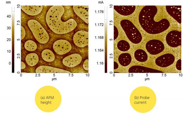 SThM fig4