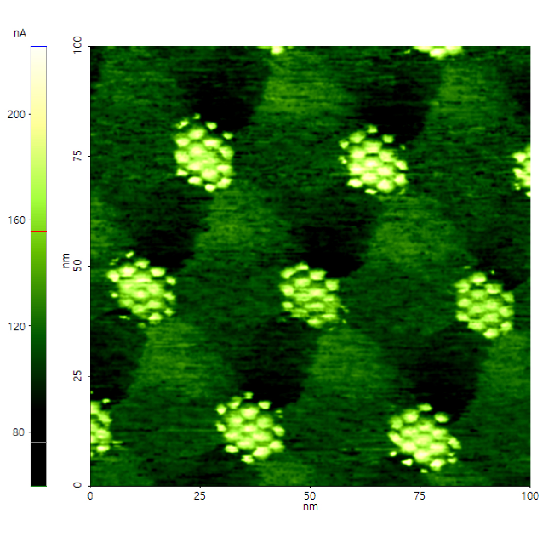 Twisted bilayer graphene on hexagonal boron nitration