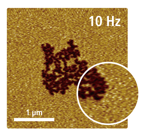 10 Hz