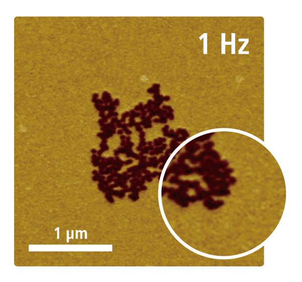 1 Hz