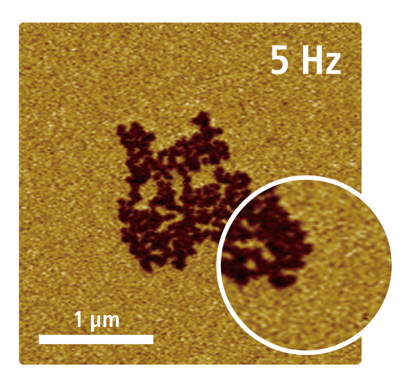 5 Hz