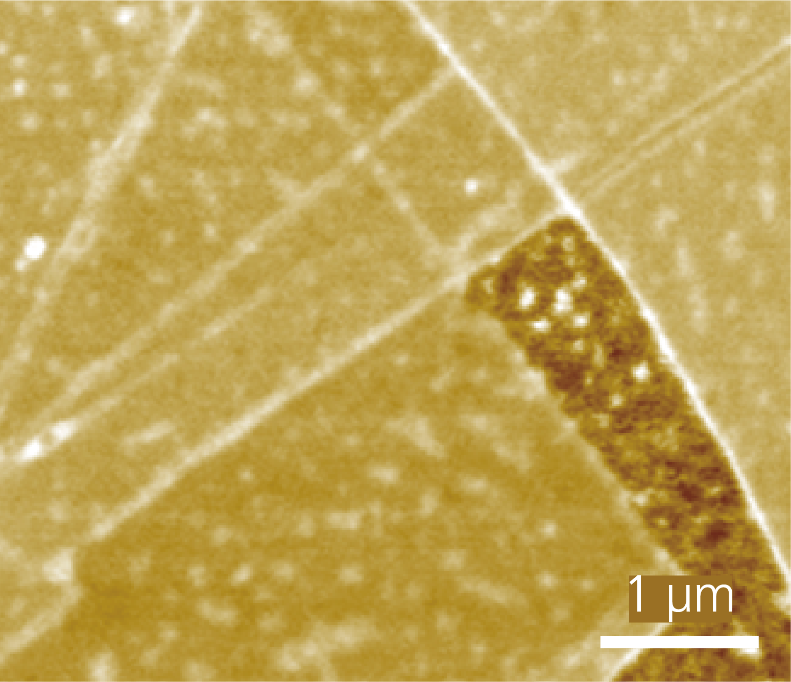 Multi-Layered Graphene on hBN microscopy image